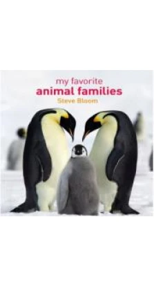 My Favorite Animal Families. David Henry Wilson