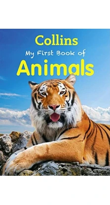 My First Book of Animals. Салли Морган
