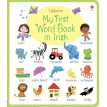 My First Word Book in Irish. Фото 1