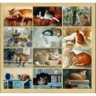 Набор открыток «Маленькие кошачьи радости «. Фото 5