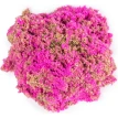 Набір піску для дитячої творчості - Kinetic Sand Мушля рожева. Фото 3
