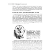 Нейронауки. Исследование мозга. Том 1. Барри В. Коннорс. Майкл А. Парадизо. Марк Ф. Беар. Фото 13