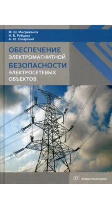 Обеспечение электромагнитной безопасности электросетевых объектов: монография. 2-е изд., перераб