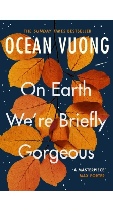 On Earth We're Briefly Gorgeous. Оушен Вуонг