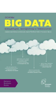 Основы Big Data: концепции, алгоритмы и технологии. Томас Эрл