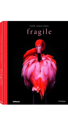 Fragile. Pedro Jarque Krebs