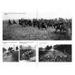 Первая мировая война: Катастрофа 1914 года. Макс Гейстінґс. Фото 3