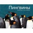 Пингвины. Важные и дружные. Ульяна Валерьевна Сапцина. Фото 1