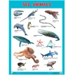 Плакаты (англ). Sea Animals (Морские обитатели). Фото 1