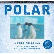Polar: A Photicular Book. Dan Kainen. Фото 1