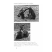 Политика у шимпанзе. Власть и секс у приматов. Франс Де Вааль. Фото 29