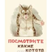 Посмотрите какие котята. Владимир Матвеев. Фото 1