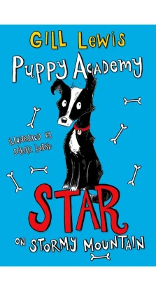 Puppy Academy: Star on Stormy Mountain. Gill Lewis