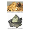 Pyrite: A Natural History of Fool's Gold. David Rickard. Фото 9
