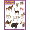 Развивающие плакаты. Домашние животные. Р. Нафиков. Фото 1