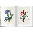 REDOUTE. THE BOOK OF FLOWERS. Ганс Вальтер Лак (H. Walter Lack). Фото 5