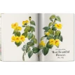 REDOUTE. THE BOOK OF FLOWERS. Ганс Вальтер Лак (H. Walter Lack). Фото 6
