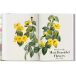 Redoute. The Book of Flowers. Ганс Вальтер Лак (H. Walter Lack). Фото 6