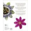 The Royal Horticultural Society A-Z Encyclopedia of Garden Plants. Фото 2