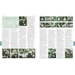 The Royal Horticultural Society A-Z Encyclopedia of Garden Plants. Фото 5