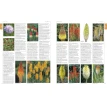 The Royal Horticultural Society A-Z Encyclopedia of Garden Plants. Фото 6