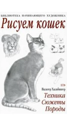 Рисуем кошек