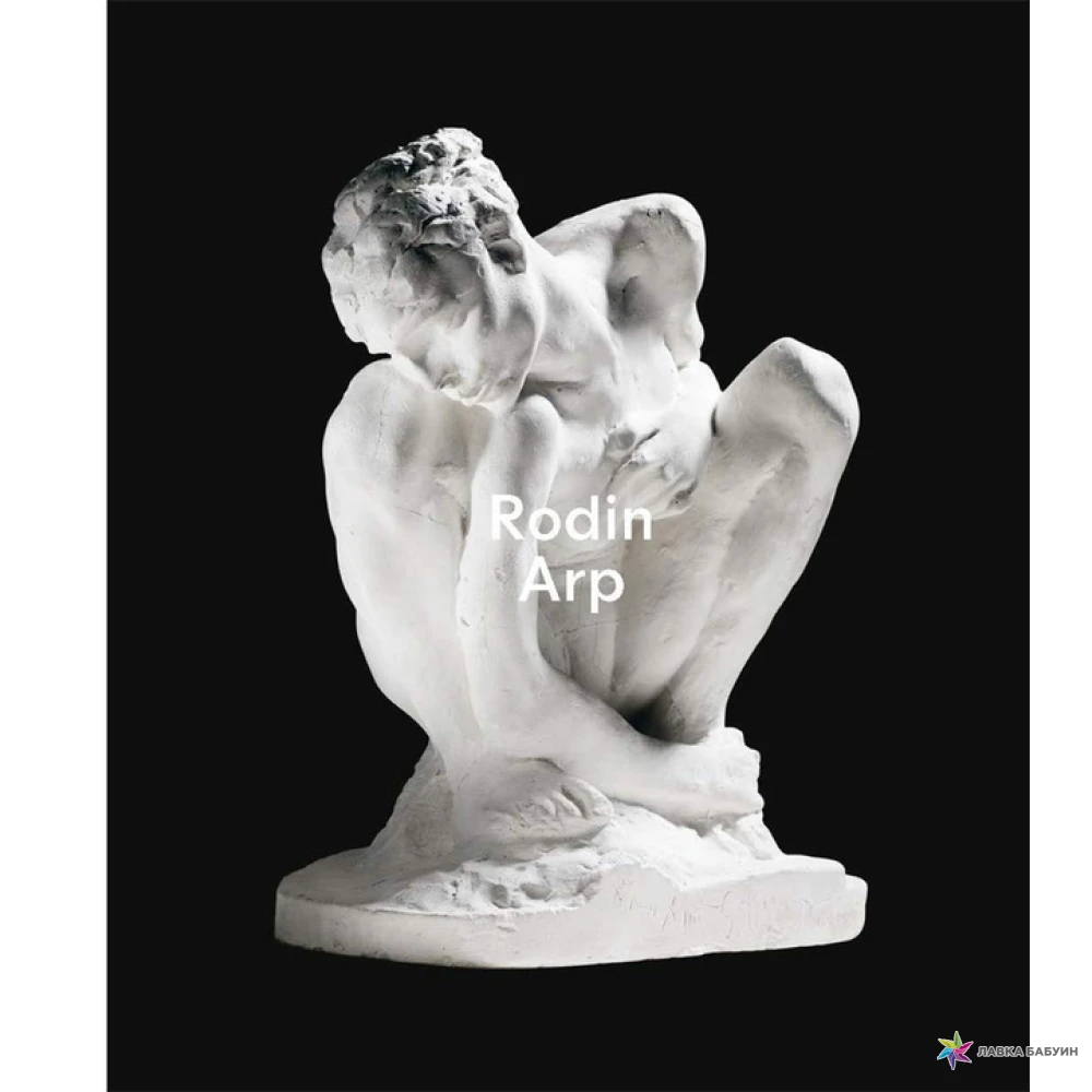 Rodin / Arp. Фото 1