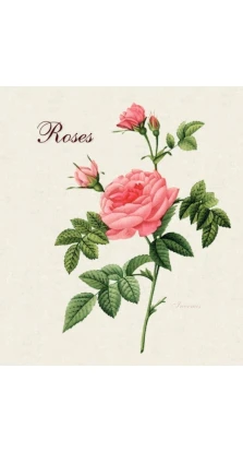 Roses + DVD. Pierre Joseph Redoute