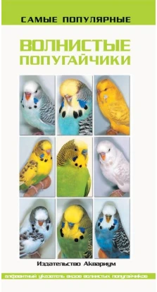 Самые популярные волнистые попугайчики. Тео Винс