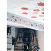 Селянський стінний розпис на Поділлі. Лариса Левитська. Фото 2
