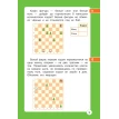 Шахматы: арифметические и логические задачи. Леонід Григорович Битно. Фото 10