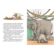 Слонёнок ищет брата. История долгого путешествия. Берни Бос. Фото 4