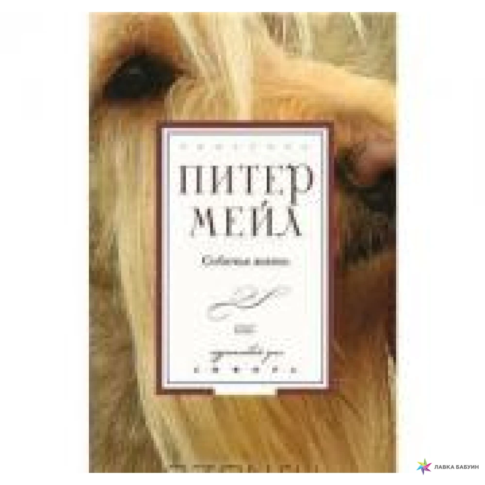 Жизнь собаки книга. Собачья жизнь книга. Питер мейл "собачья жизнь". Собачья жизнь книгиэа. Собачья жизнь читать.