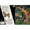 Стегозавр та інші травоїдні ящери. Анна Чесса. Джузеппе Брілланте. Фото 3
