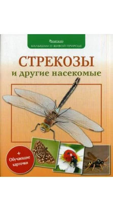 Стрекозы и другие насекомые. Петр Волцит
