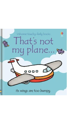 That`s not my plane. Fiona Watt