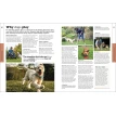 The Beginner's Dog Training Guide: How to Train a Superdog, Step by Step. Gwen Bailey. Фото 4