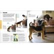 The Beginner's Dog Training Guide: How to Train a Superdog, Step by Step. Gwen Bailey. Фото 5