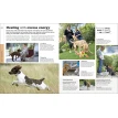 The Beginner's Dog Training Guide: How to Train a Superdog, Step by Step. Gwen Bailey. Фото 6