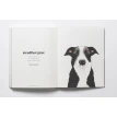 The Book of the Dog. Ангус Хайленд. Фото 4