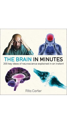 The Brain in Minutes. Ріта Картер