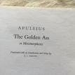 The Golden Ass. Апулей. Фото 5