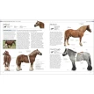 The Horse Encyclopedia. Фото 4