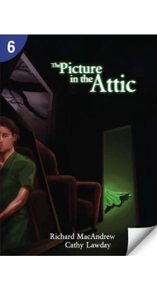 The Picture in the Attic: Page Turners 6. Richard MacAndrew. Cathy Lawday