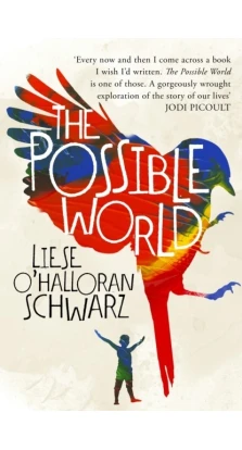 The Possible World. Liese Schwarz