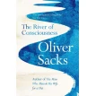 The River of Consciousness. Олівер Сакс (Oliver Sacks). Фото 1