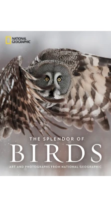The Splendor Of Birds