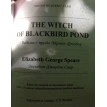 The Witch of Blackbird Pond / Ведьма с пруда Черных Дроздов. Элизабет Спир. Фото 12