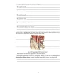 Topographic Anatomy and Operative Surgery. Workbook. In 2 parts. Part II. Сергей Сергеевич Дыдыкин. Фото 8
