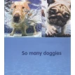 Underwater Dogs. Сет Кастил. Фото 5